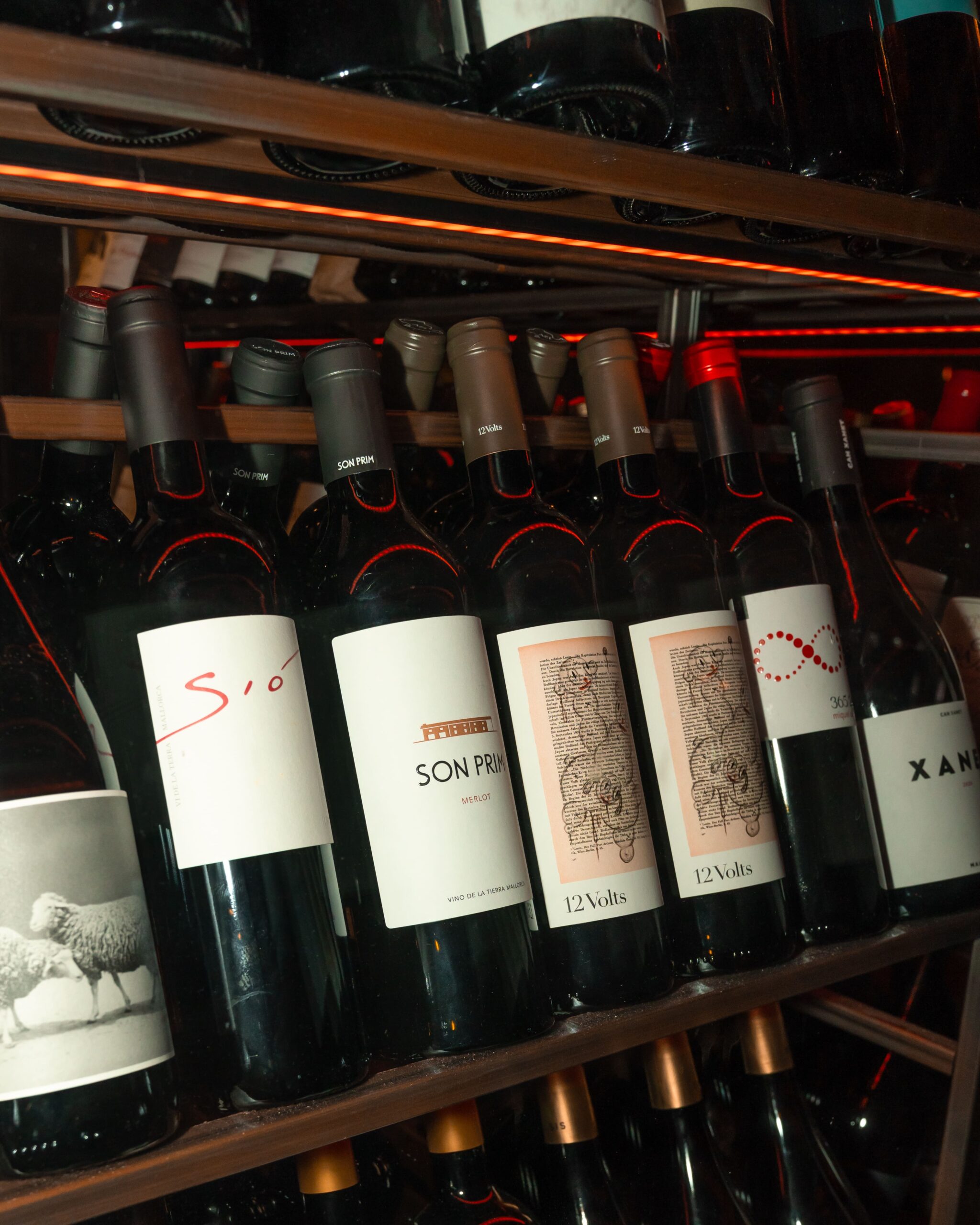 Bodega y Vinos Santa Palma